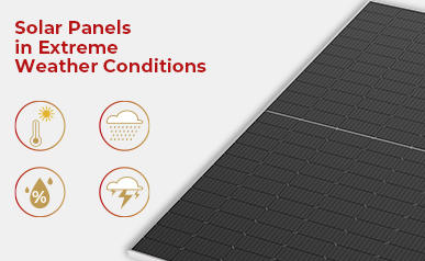 From Raindrops To Rays: Discovering How Solar Panels Adapt To Ever-Changing Weather
